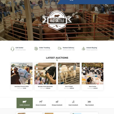 Sun Glasses – Dark with red handle tips